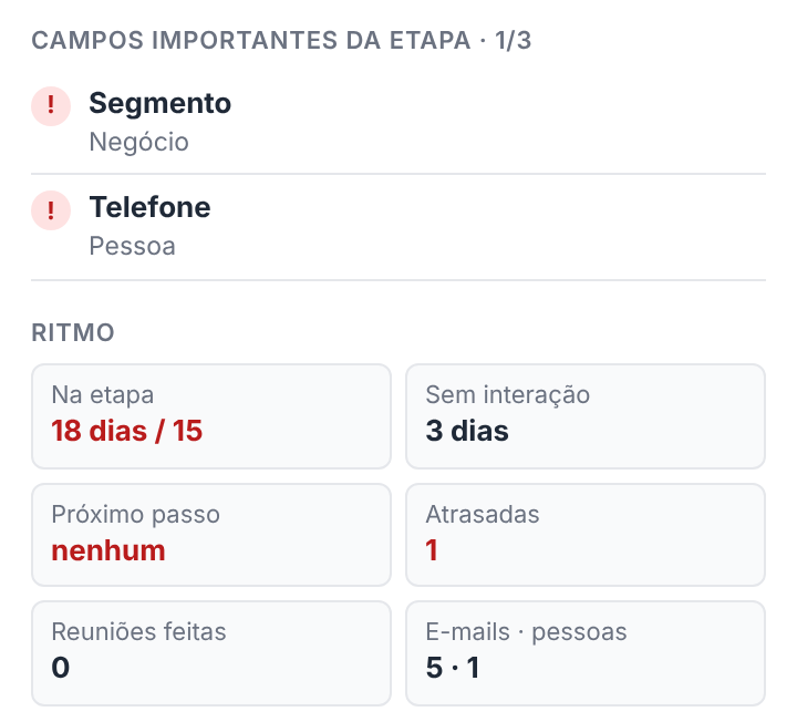 Campos importantes e ritmo do negócio